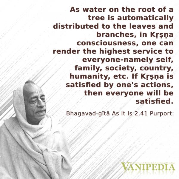 File:BG02.41 Image-quote.jpg