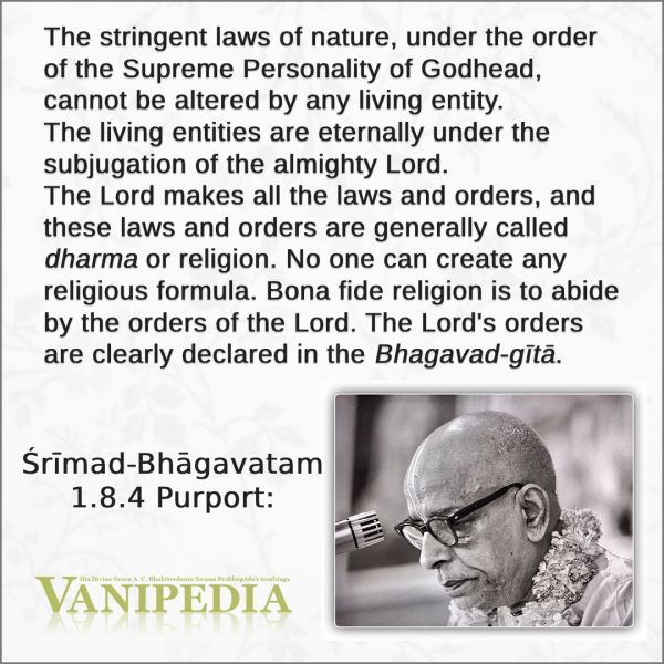 File:SB01.08.04 Image-quote.jpg
