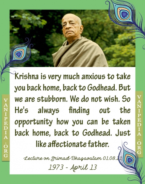 File:041373 Image-quote.jpg