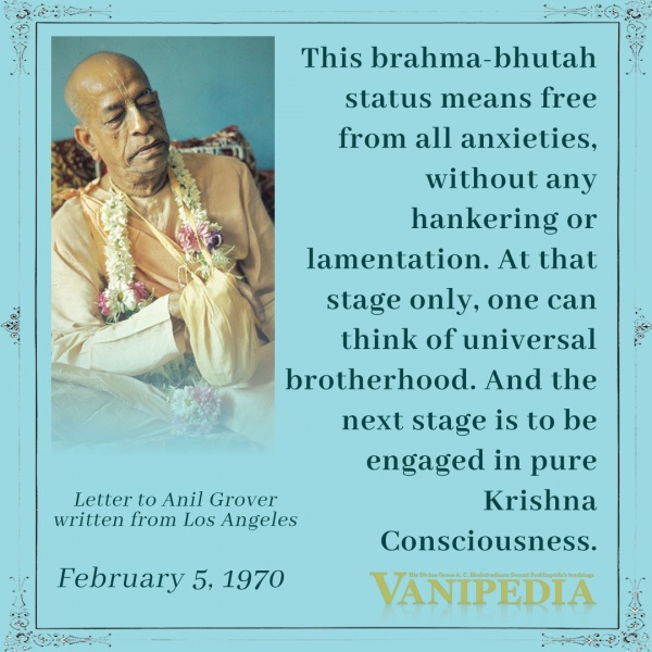 File:020570 Image-quote.jpg