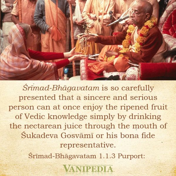 File:SB01.01.03b Image-quote.jpg