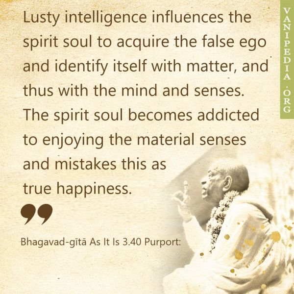 File:BG03.40 Image-quote.jpg