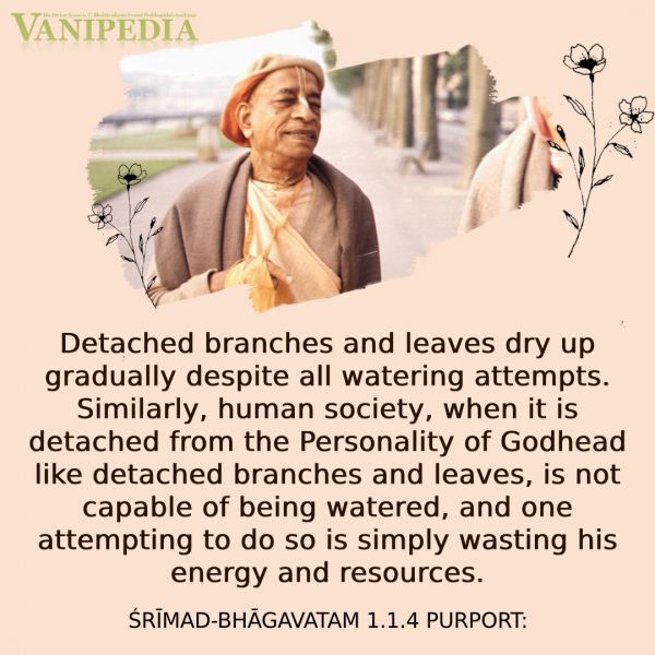 File:SB01.01.04 Image-quote.jpg
