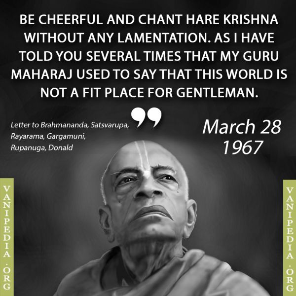 File:032867 Image-quote.jpg