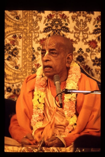 File:CT10-092.JPG