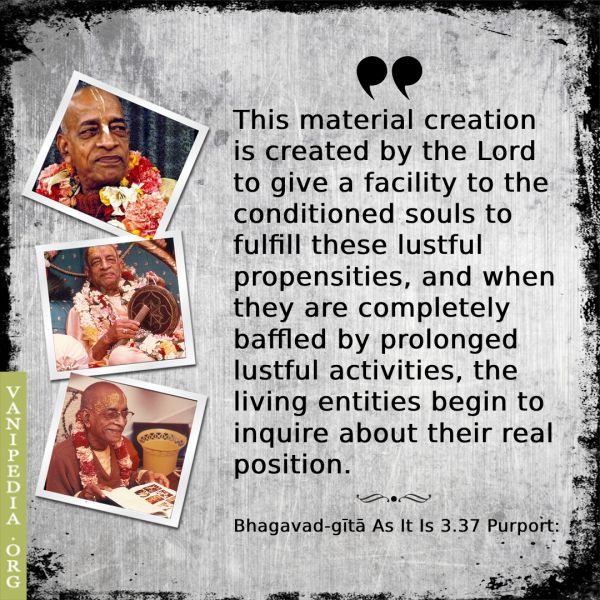 File:BG03.37f Image-quote.jpeg
