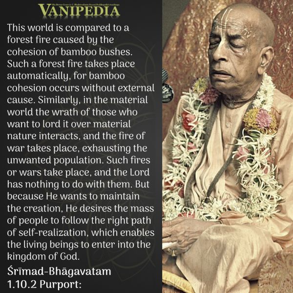 File:SB01.10.02 Image-quote.jpg