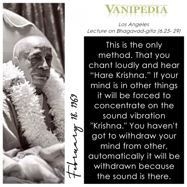 File:021869 Image-quote.jpg