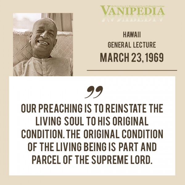 File:032369 Image-quote.jpg