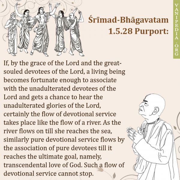 File:SB01.05.28 Image-quote.jpg