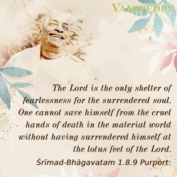 File:SB01.08.09b Image-quote.jpg