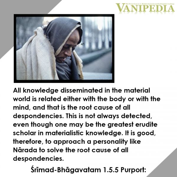 File:SB01.05.05 Image-quote.jpg