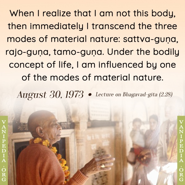 File:083073 Image-quote.jpg