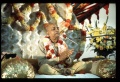 Thumbnail for version as of 09:56, 6 April 2008
