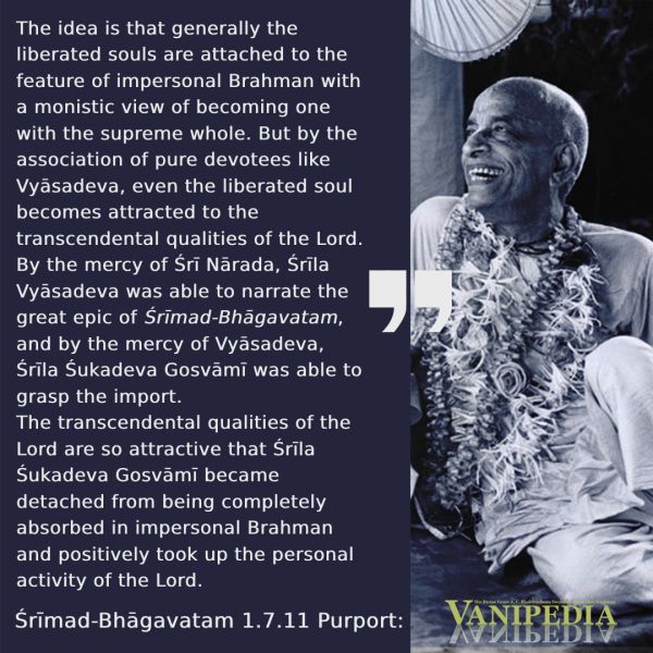 File:SB01.07.11 Image-quote.jpg