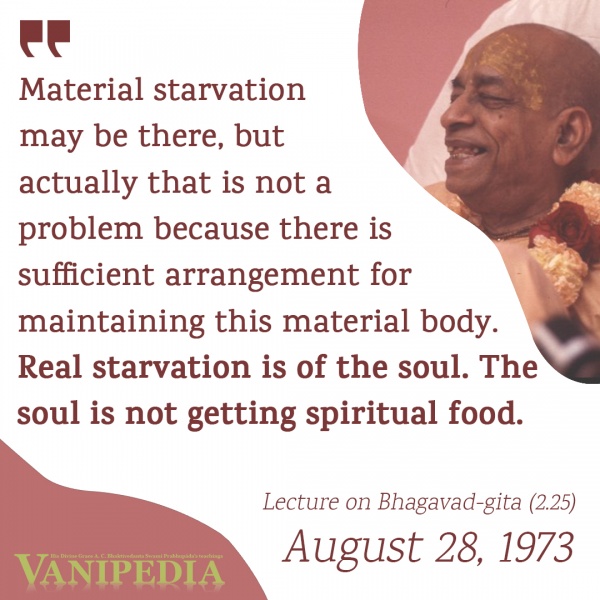 File:082873 Image-quote.jpg