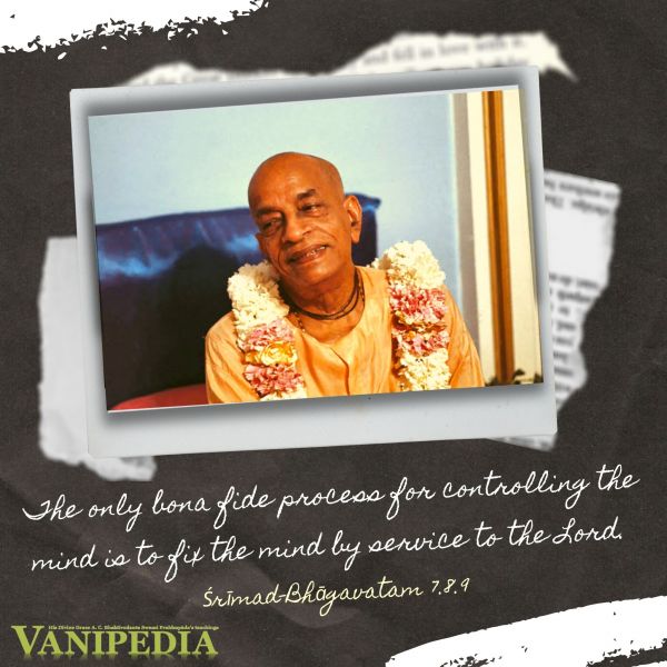 File:SB07.08.09 Image-quote.jpg