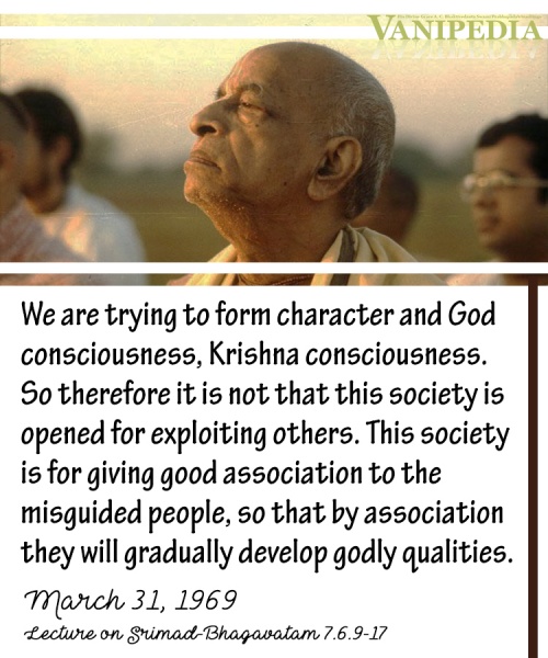 File:033169 Image-quote.jpg