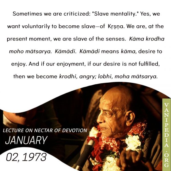 File:010273b Image-quote.jpeg