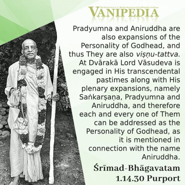 File:SB01.14.30 Image-quote.jpg