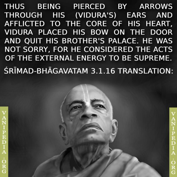File:SB03.01.16 Image-quote.jpg