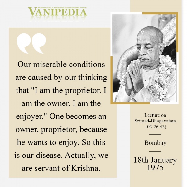 File:011875 Image-quote.jpg
