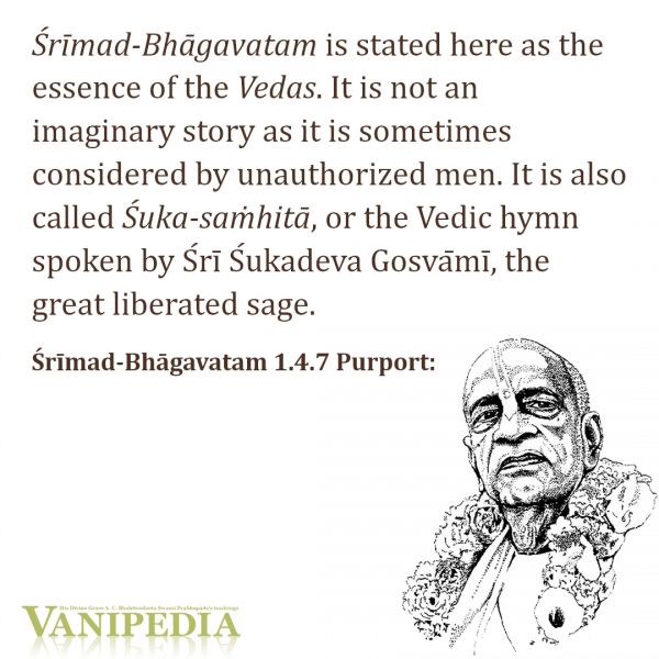 File:SB01.04.07 Image-quote.jpg