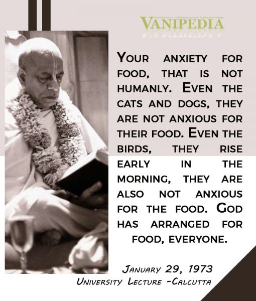 File:012973b Image-quote.jpg