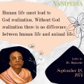 Thumbnail for version as of 20:20, 17 September 2020