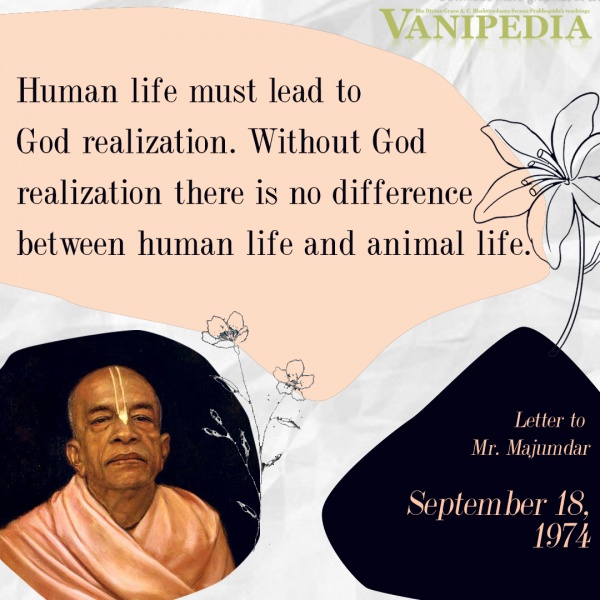 File:091874 Image-quote.jpg