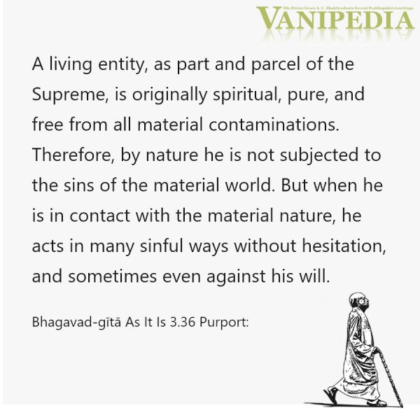 File:BG03.36 Image-quote.jpg