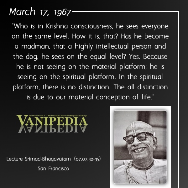 File:031767 Image-quote.jpg