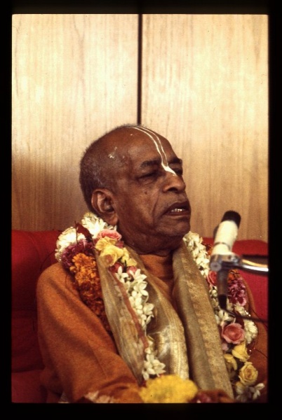 File:CT09-126.JPG