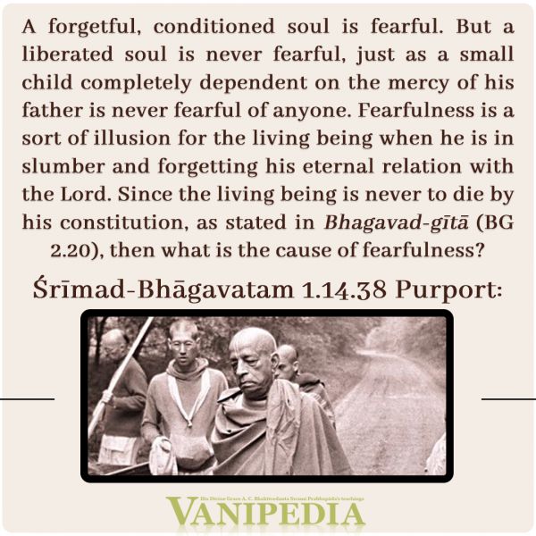 File:SB01.14.38b Image-quote.jpg