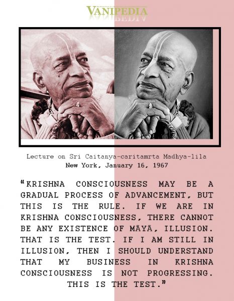 File:011667 Image-quote.jpg