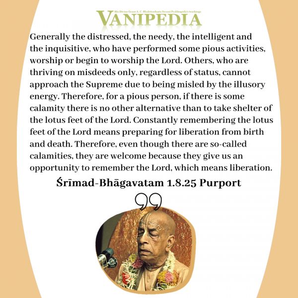 File:SB01.08.25 Image-quote.jpg