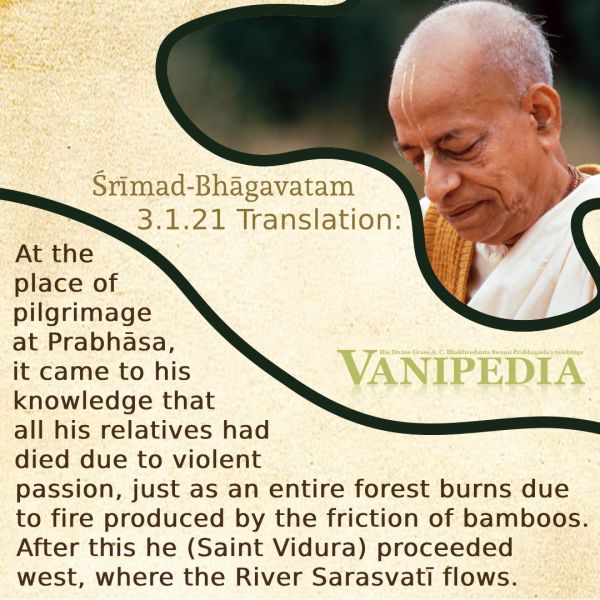 File:SB03.01.21 Image-quote.jpg