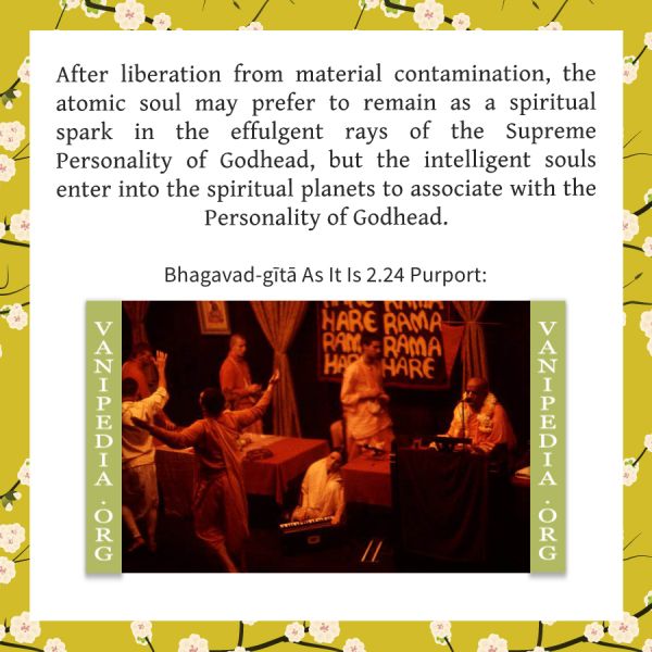 File:BG02.24 Image-quote.jpg