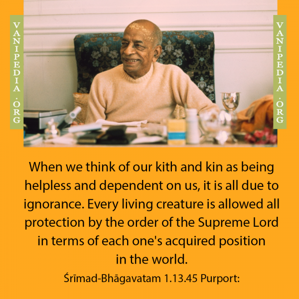 File:SB01.13.45 Image-quote.png