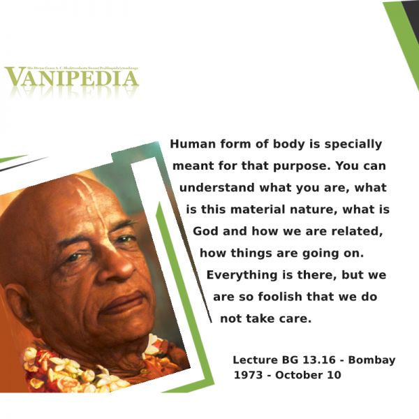 File:101073b Image-quote..jpg