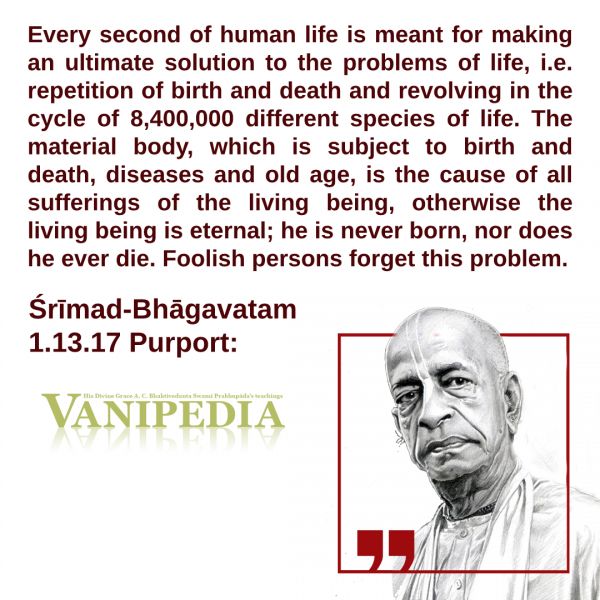 File:SB01.13.17b Image-quote.jpg