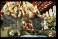 Thumbnail for version as of 09:56, 6 April 2008