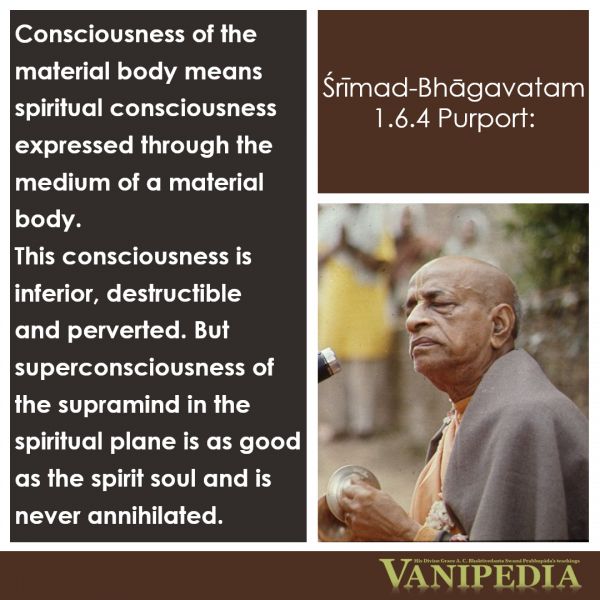 File:SB01.06.04 Image-quote.jpg