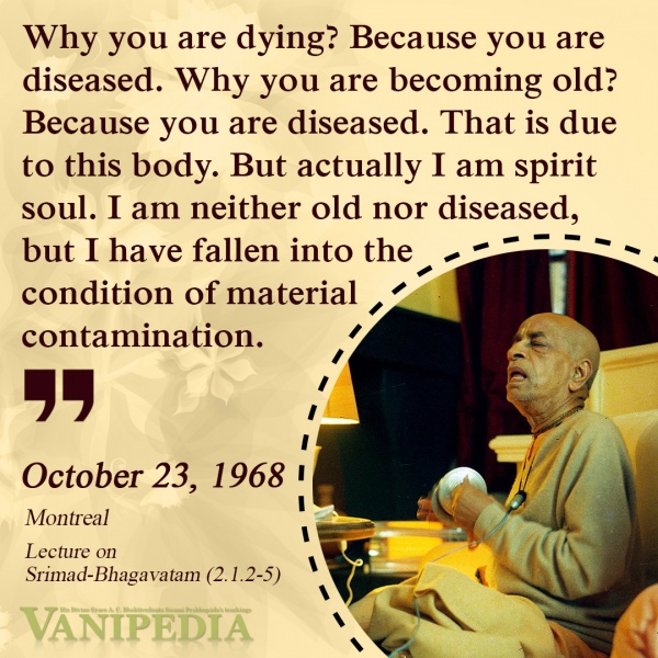 File:102368 Image-quote.jpg
