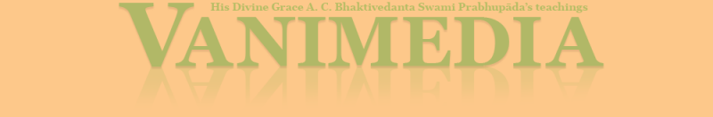 File:Vanimedia LOGO2.png