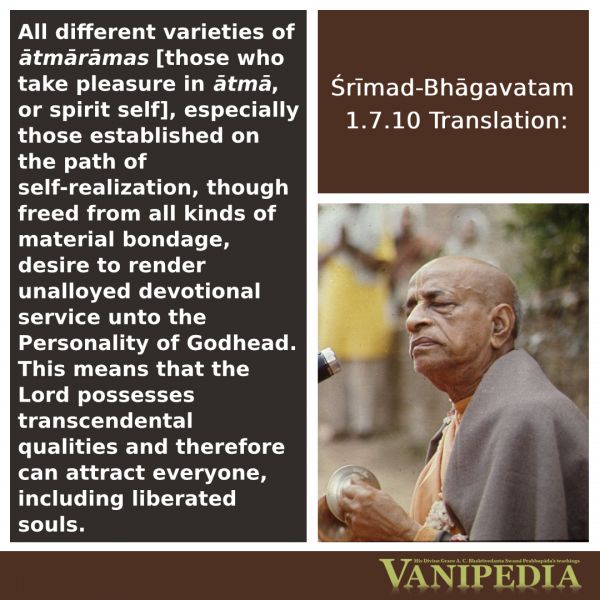File:SB01.07.10 Image-quote.jpg