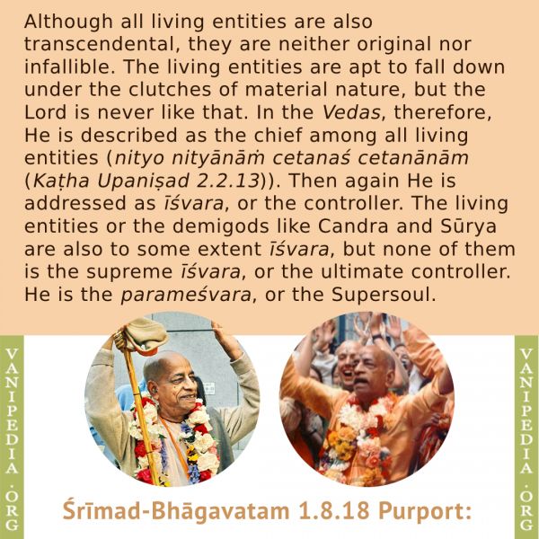 File:SB01.08.18 Image-quote-c.jpg