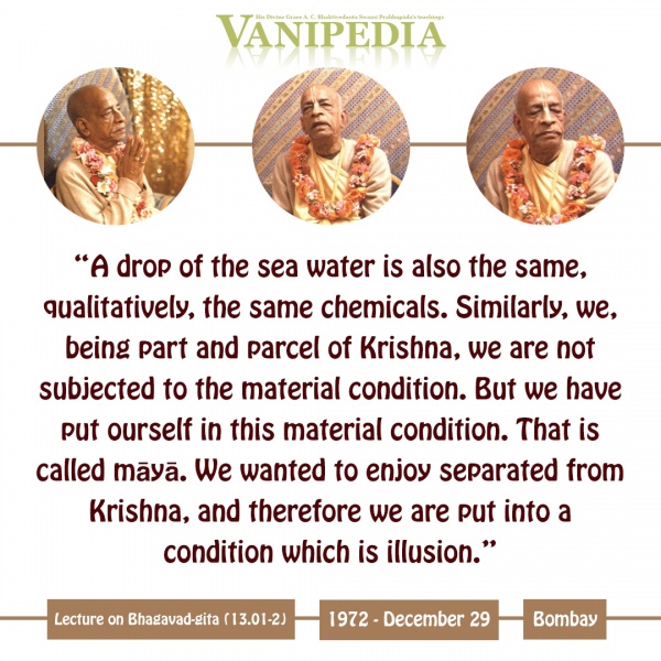 File:122972 Image-quote.jpg