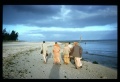 Thumbnail for version as of 09:52, 6 April 2008