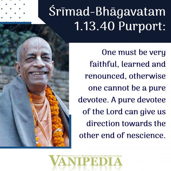 File:SB01.13.40 Image-quote.jpg